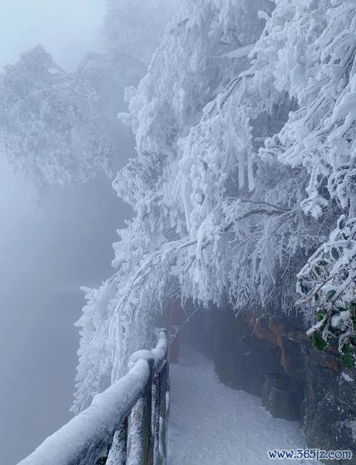 星空体育官网 雪景张家界